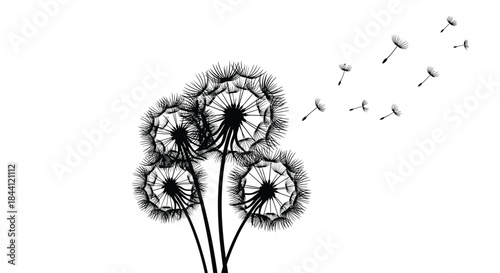 Black silhouette of four dandelion flowers with their seeds blowing away in the wind, symbolizing freedom, change, and wishes.
