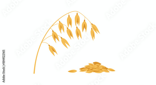 An illustration of a single oat stalk with mature grains and a small pile of loose oat kernels on a white background.