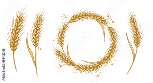 A detailed illustration of golden wheat ears, including individual stalks and a circular wreath, on a white background.