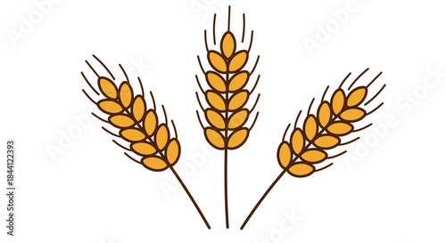 Three golden wheat stalks with grains, symbolizing agriculture and harvest on a white background.