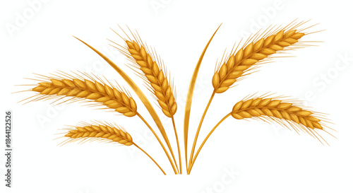 Golden wheat stalks with ripe grains ready for harvest, symbolizing agriculture and natural food production.