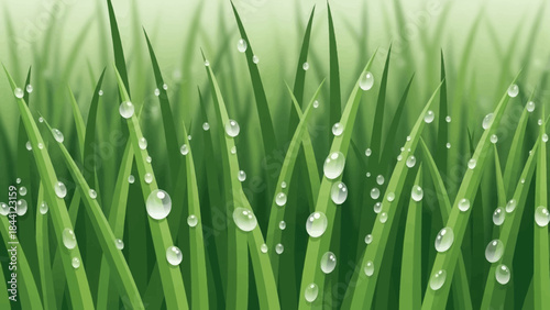 Emerald Dewdrops: Close-up of verdant grass blades adorned with glistening dewdrops, a fresh and natural display.