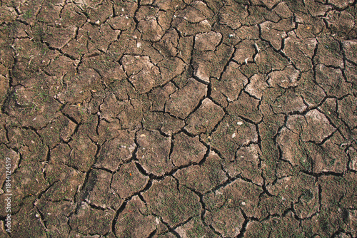Landscape of parched ground and deep cracks exposes the devastating reality of drought and environmental distress.