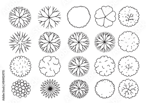 Hand Drawn Tree Top View Vector Collection - Architectural Plan and Landscape Design Elements