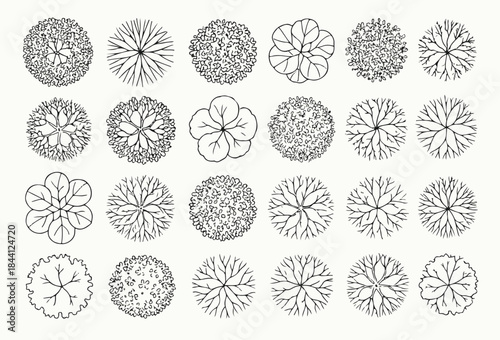 Architectural Tree Plan Set - Top View Drawing Icons for Landscape Design and Floor Plan