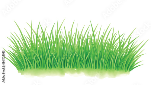 Vibrant green grass illustration on transparent background for springtime design elements