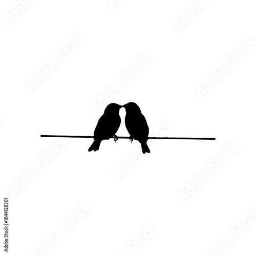 A silhouette illustration of two small birds sharing a kiss while perched on a wire isolated on transparent background