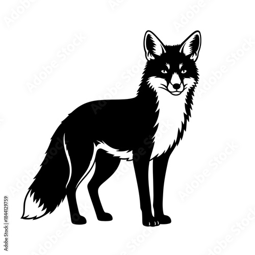 Black and white illustration of a fox standing on all fours