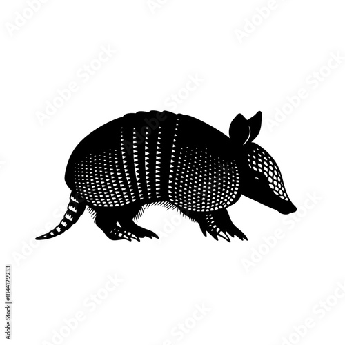 Fotografija Black and white illustration of an armadillo walking to the right