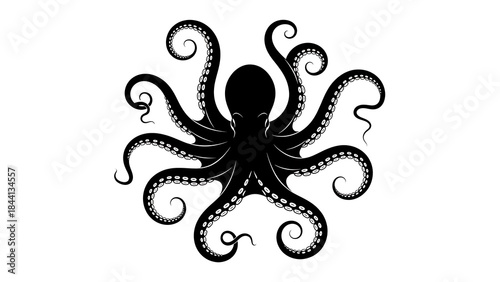 Quadro su tela Intricate black octopus illustration with curled tentacles on a white background