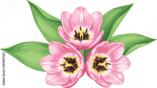 Pink tulip flower bouquet illustration with green leaves — elegant spring floral design for invitations, decor, branding and digital craft projects