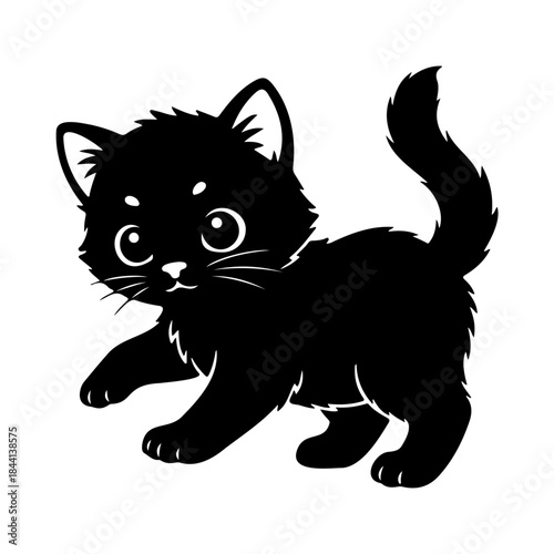 Playful black kitten