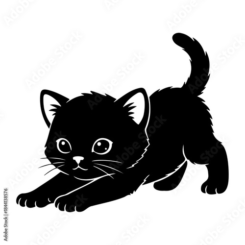 Playful black kitten silhouette