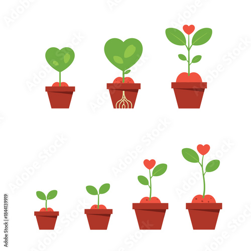 Illustrating the various stages of growth for potted plants, featuring both heart-shaped leaves and blossoming heart flowers.