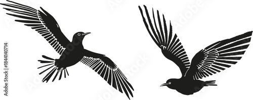 Two flying birds silhouettes, black and white vector illustration