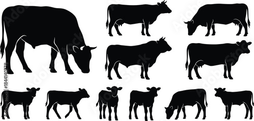 Diverse Set of Cattle Silhouettes Including Cows, Bulls, and Calves, Full Body Black Vector Illustrations of Domestic Farm Animals in Various Poses, Isolated on White Background.