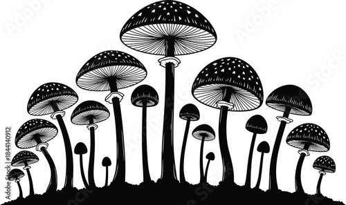 Mushroom Cluster Silhouette and Engraving Vector Illustration, Amanita Muscaria or Toadstool Icons Isolated on White Background for Fantasy and Nature Design.