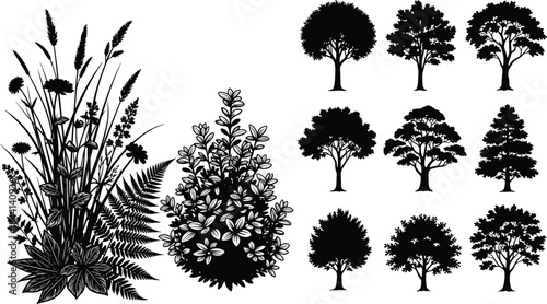 Nature plant silhouette vector set, black tree and grass collection, wildflower meadow, forest shrub icon, landscape vegetation