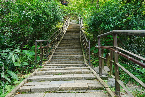 Hiking Trail in Xianshan or Elephant Mountain Park in Taipei, Taiwan - 台湾 台北 象山自然歩道