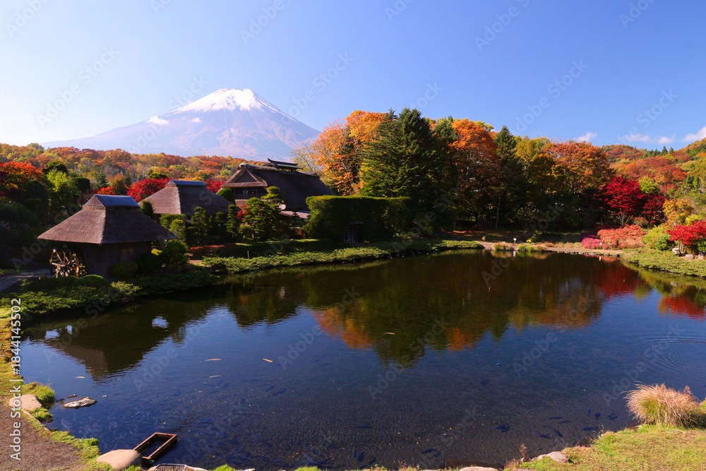 Fototapeta premium 忍野村から見た富士山