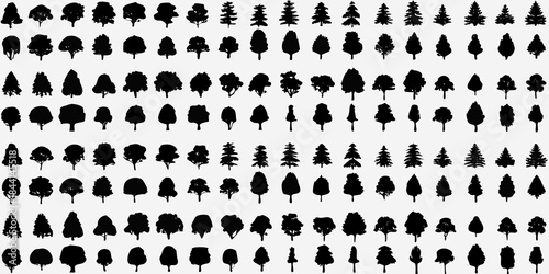 A dense collection of silhouetted trees arranged in a grid pattern
