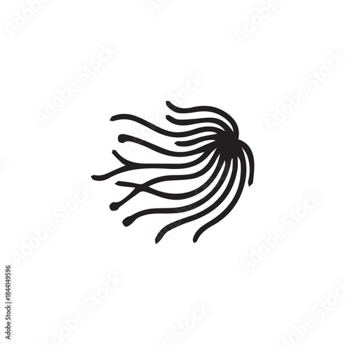 Zoonkplanton logo with white background