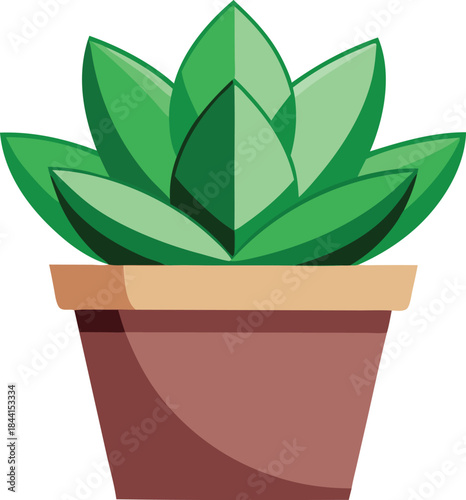 Green succulent plant in a terracotta pot illustration
