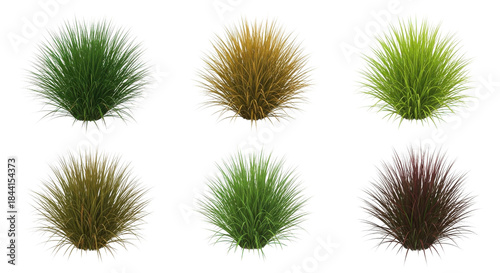 Photos Set of Isolated Realistic 3D Render Grass Tufts in Green, Brown, and Reddish-Bro