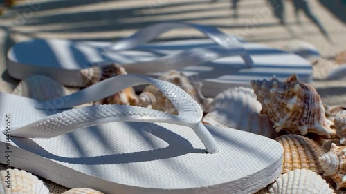 White flip flops and seashells on beach sand in warm sunlight creating relaxing vacation scene