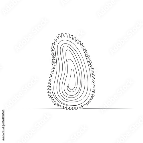 Abstract Single Line Drawing of Amoeba Organism Isolated Minimalist Illustration