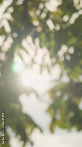 soft sunlight through blurred green leaves creating dreamy backlight and gentle bokeh, dappled haze and warm afternoon glow, tranquil park atmosphere with calming motion and quiet meditative mood