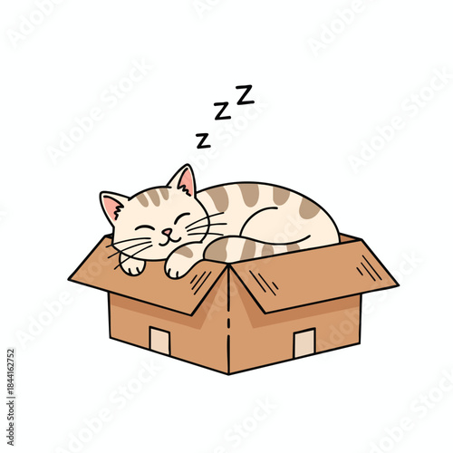 A cartoon cat sleeps soundly in a box, with 'z' symbols indicating sleep
