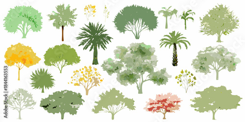 Collection of various tree types and foliage in a graphic illustration