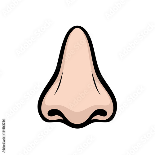 Illustration of a Human Nose with Nostrils, Anatomical Design, Medical Concept, Body Part Close-up, Isolated, White Background