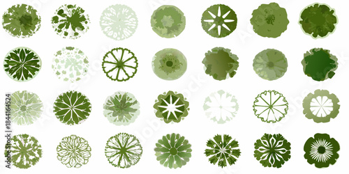 Assorted green tree canopy patterns displayed as circular overhead views