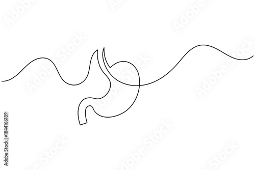 Continuous line drawing of a stomach, symbolizing digestion, health, and anatomy.