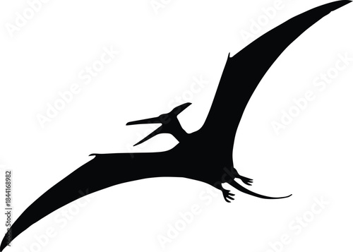 pterosaur isolated silhouette vector of flying dinosaur on white background