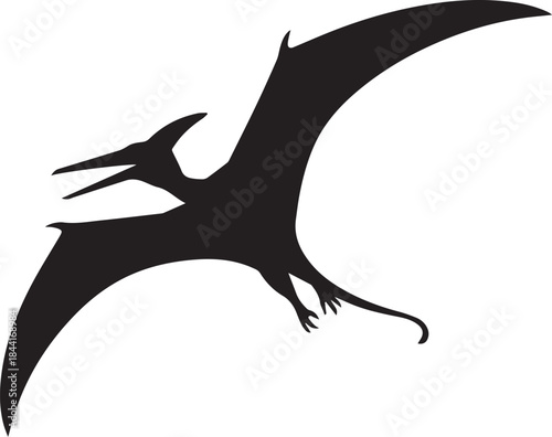 pterosaur silhouette vector of flying prehistoric reptile on white background