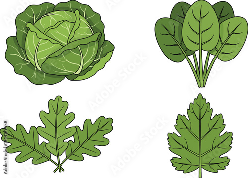 Leafy green vegetables, cabbage, spinach, arugula, parsley, healthy food icons, nutrition concept, cooking ingredients, flat vector illustration