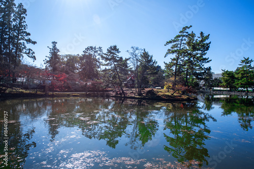 The beautiful landscape of autumnal forest back ground blue sky.