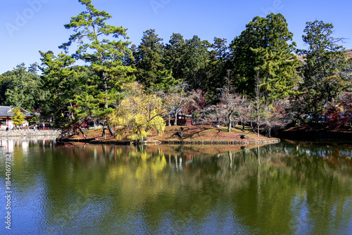 The beautiful landscape of autumnal forest back ground blue sky.