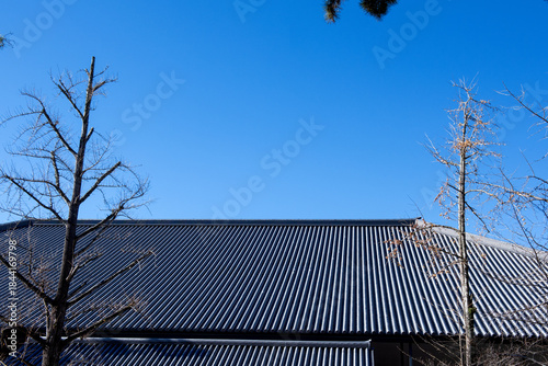 The curiouse traditional old temple Nara Japan.