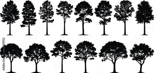 Tree silhouettes collection isolated on white background, various deciduous forest trees shapes for nature, landscape, ecology, illustration design projects