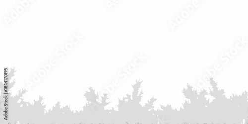 Silhouetted trees against a bright almost entirely white background