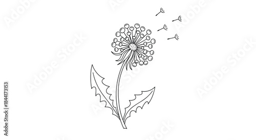 A delicate dandelion seed head dispersing its fluffy seeds on a gentle breeze.