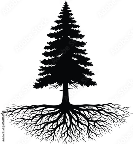 Large Pine Tree Silhouette with Detailed Root System, Evergreen Forest Icon, Nature, Environment, and Ecological Stability Symbol Isolated on White.