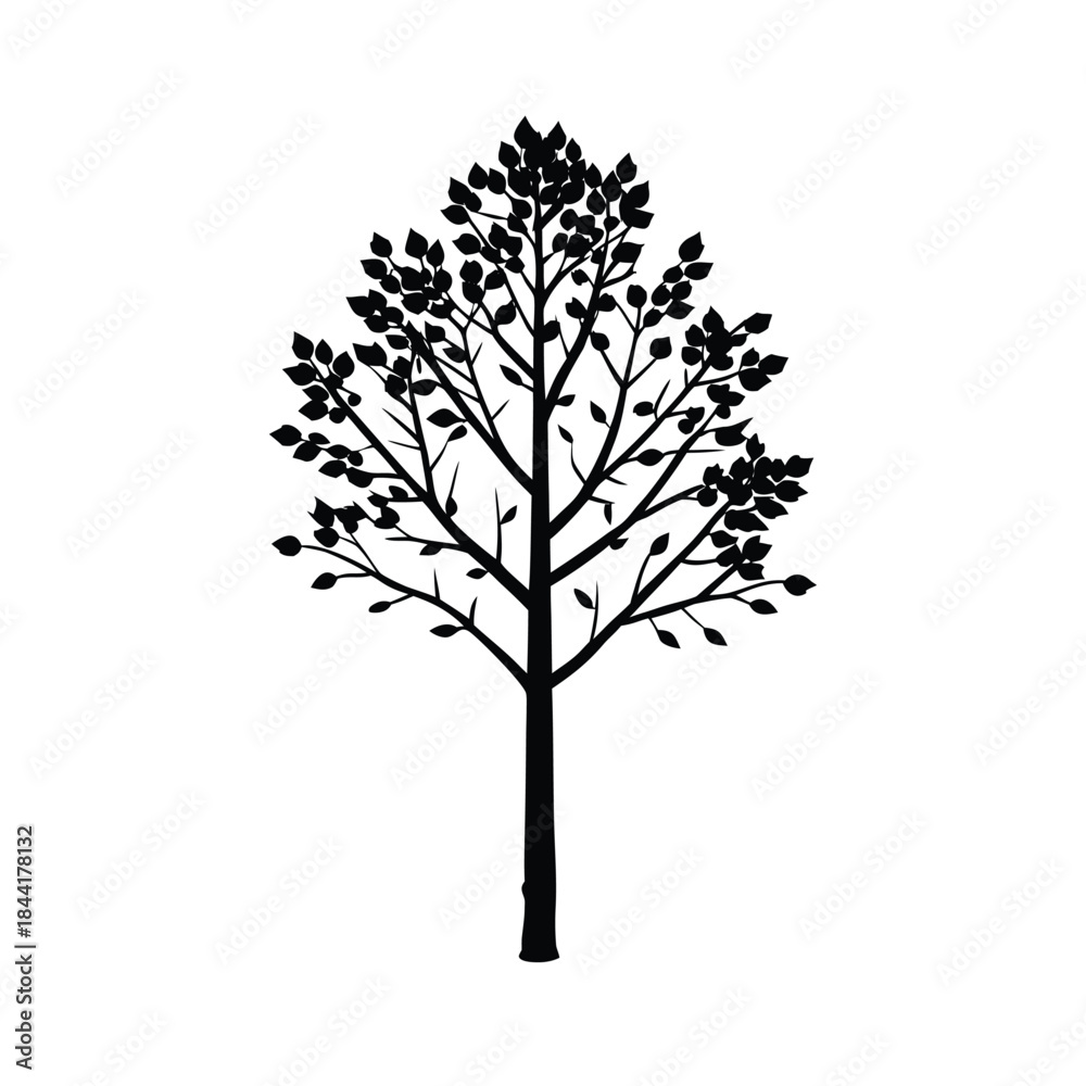 Obraz premium Black silhouette of a tall tree with many small leaves and branches on white background