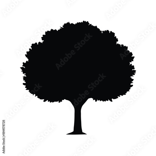 Tree silhouette black white vector illustration isolated on white background natural art