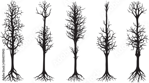 Five tree silhouettes with exposed roots on white background
