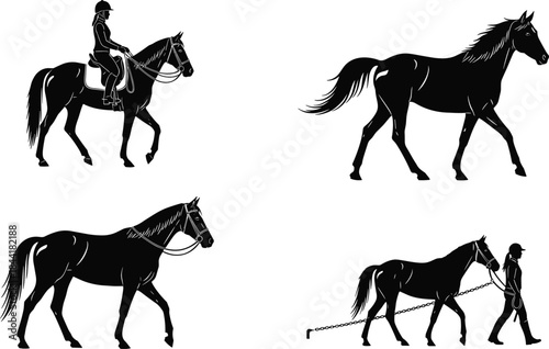 Horse and rider silhouette set illustration, equestrian walking and riding poses collection, black animal figures for sport training, flat vector designHorse and rider silhouette set
